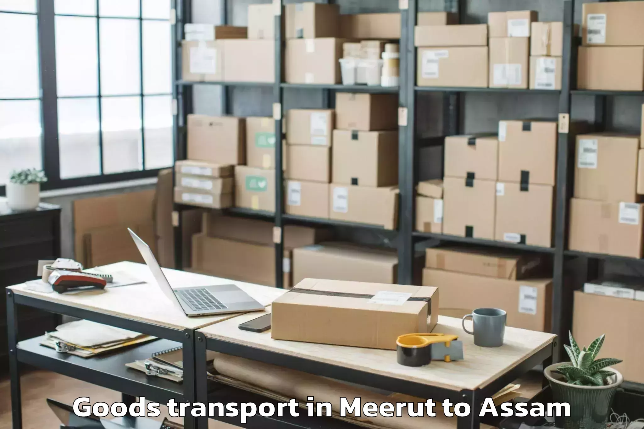 Professional Meerut to Dhubri Goods Transport